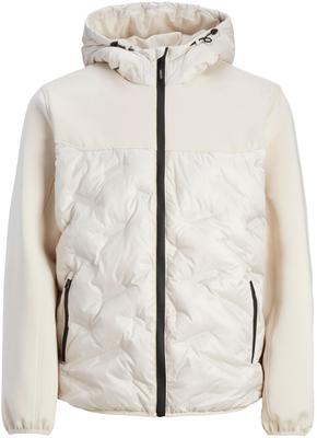 Demi-season Jacket Jack & Jones Jjetoby Puffer Hood Pls (12243520) Black Jjemulti Heat Quilted Jacket Noos (12237726) Moonbeam