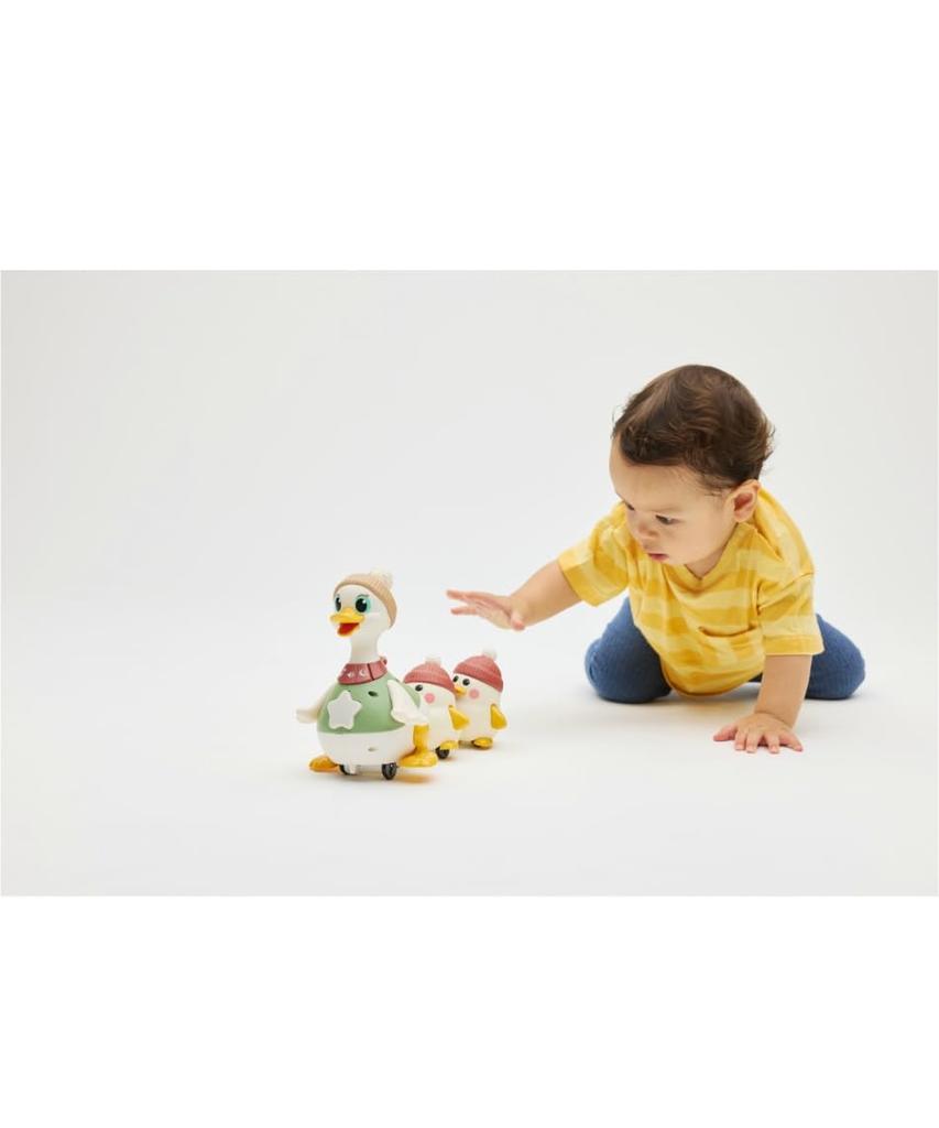 Hola Toys Walking! Toddler Duck Family, Ages 6+ Months, TYHOLHE9987