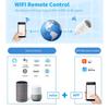 Graffiti WiFi Smart Socket European Standard Plug 16A Electric Quantity Measurement Alexa Voice Phone Remote Control