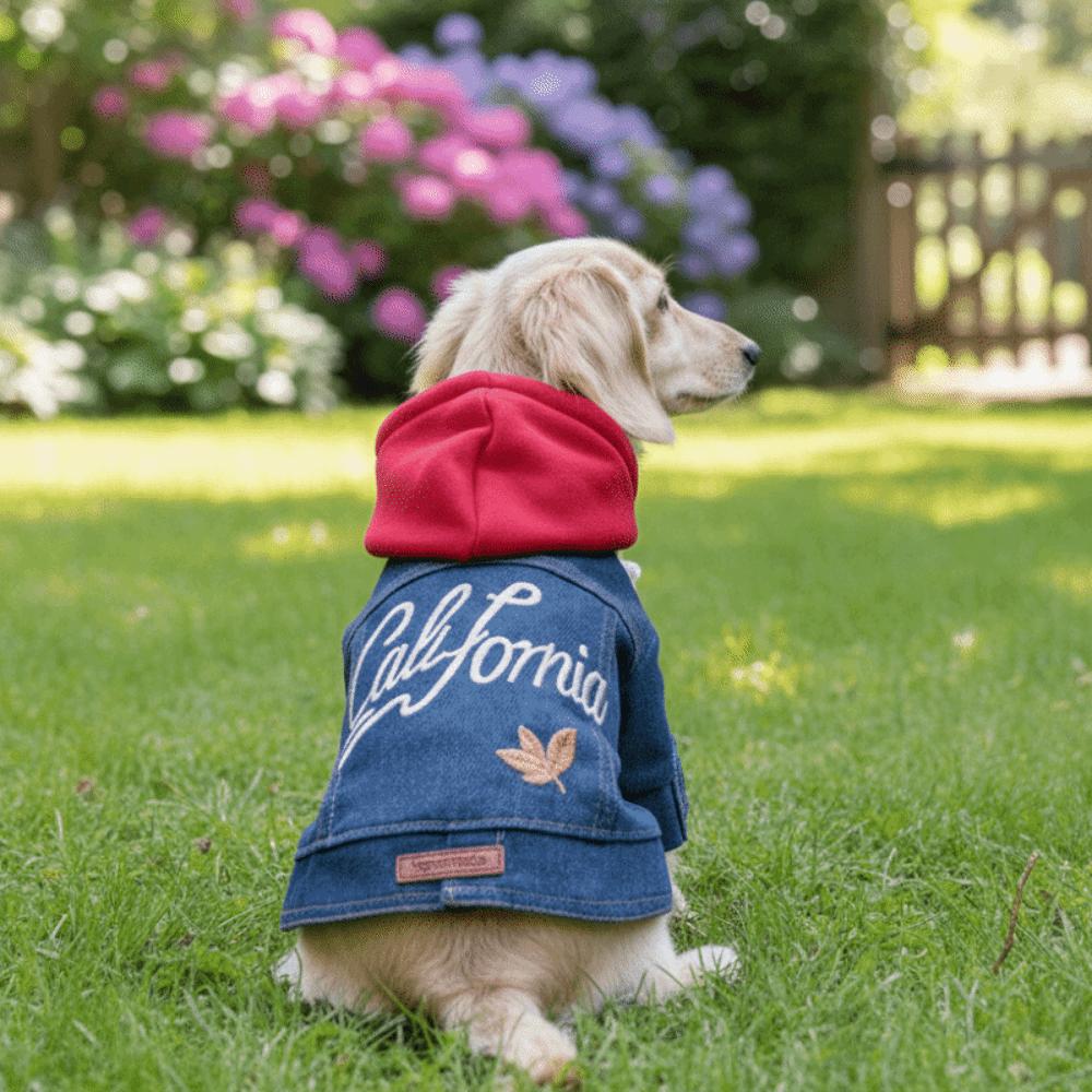 Letter Embroider Dog Jean Jacket Windproof Pet Cowboy Outfit Pet Denim Hoodie  Spring Autumn