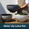Koper Munt Gras Geld Gras Bloempot Plastic Imitatie Steen Extra Grote Kom Lotus Pot Niet-poreus Waterlelie Lotus Pot