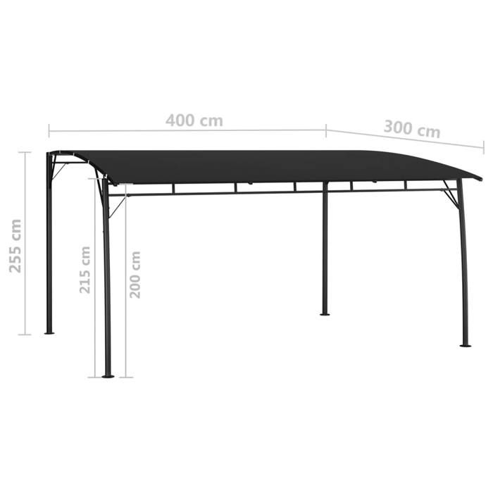 VidaXL Auvent pare-soleil de jardin 4x3x2,55 m Anthracite