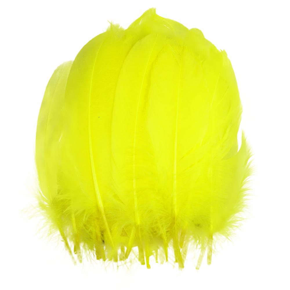 FeatherYellow Feathers for Crafts, 31 Styles Natural Pheasant, Rooster, Duck Feathers Bulk for Costume DIY, Fly Tying,Party Decoration