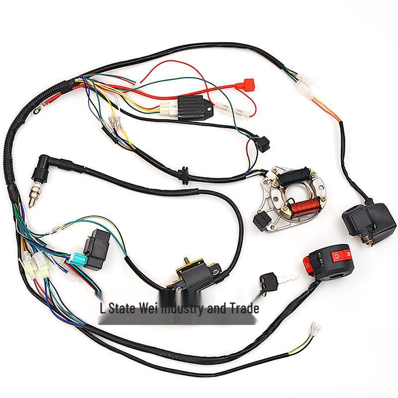 ATV Accessories: Ignition Switch & Wiring Harness for 50cc-125cc Off-road/Beach Vehicles /