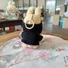 For 15-17cm V1v2 Labubu Clothes Outfit Sitting Clothes Cute Sweater Hat Outfit Accessories Fashion Dolls Accessories No Dolls