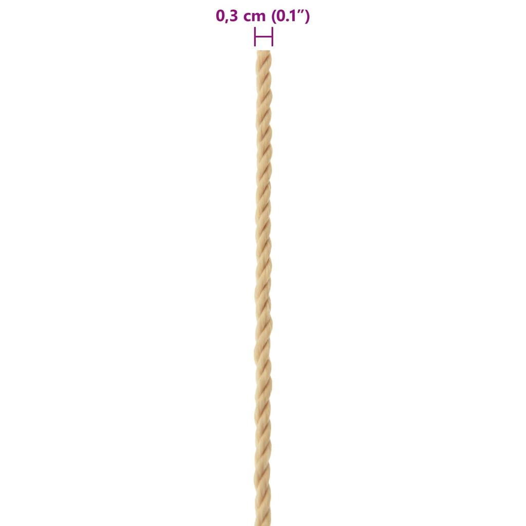 Boat Rope 25 m 0.3 cm Natural PP