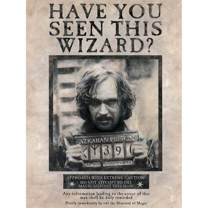 Poster di Harry Potter Wanted Stampa su tela nera di Sirius 80cm x crema/nero