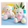 Rainbow Bear Plush Toy With Soft Cotton Material For Kids And Birthday Gift