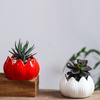 European-Style Simple Home Gardening Creative Succulent Flower Pot, Japanese-Style Grocery Cartoon Ceramic Flower Pot Small Potted Plant