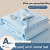 Xinjiang Cotton Machine Washable Summer Quilt
