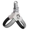 Dogs Harness Dog Supplies Straps Leash Automatic Lanyard Pet Customized Collar Classic Chest Pets Accessories Suit Choker Vests