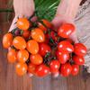 Realistic Simulated Tomato Soft Plastic Simulation Fruit Bunch Tomato Model Kitchen Decor