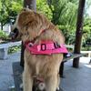 Pet Swimsuit with Easy Open Close Touch Fasteners High Buoyancy Dog Life Jacket