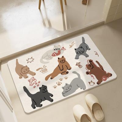 Banyo ve tuvalet – Banyo Paspası