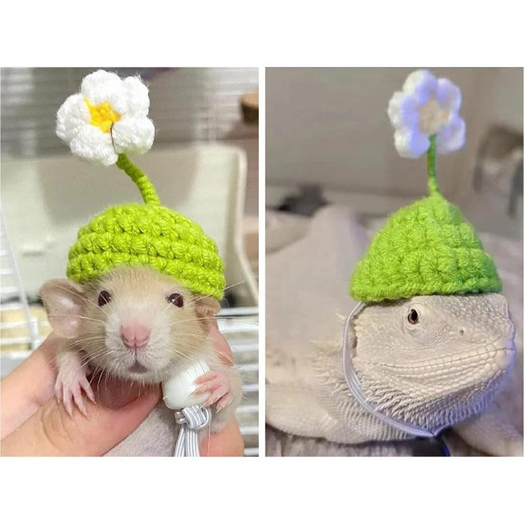 11pcs Hamster Hat, Cute Tiny Mini Hat, Hand Knitted Small Animal Hat and Hand Woven Traction Rope Set for Pets Lizards Hamsters Guinea Pig Holiday