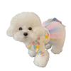 Summer Thin Pet Princess Dress Dog and Cat Rainbow Mesh Patchwork Cute Dress Dog Clothing