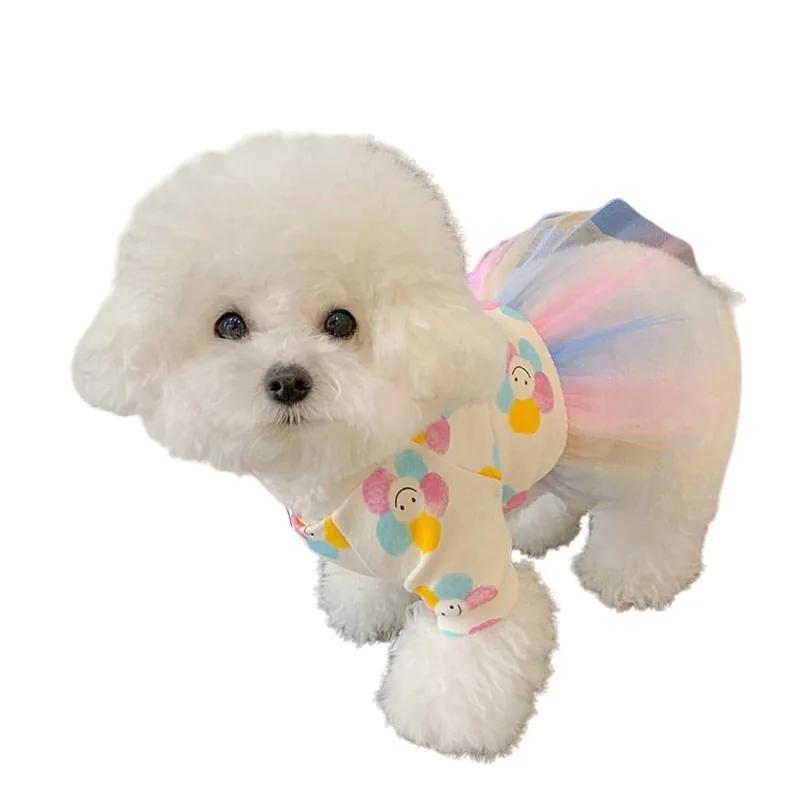 Summer Thin Pet Princess Dress Dog and Cat Rainbow Mesh Patchwork Cute Dress Dog Clothing