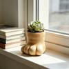 Decorațiuni pentru casă – Ghivece de flori decorative