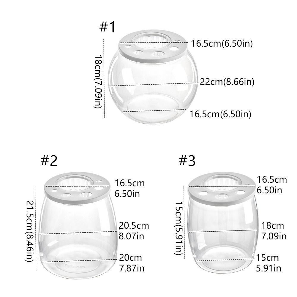 Plastic Turtle Aquarium Transparent Turtle Terrarium Small Clear Fish Tank  Aquarium Setup