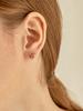 14K Mini Owl Earrings (Gold Filled) C24EGF147