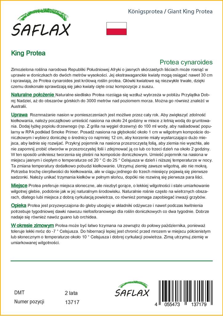 SAFLAX Giant King Protea - 5 Seeds - With Potting Substrate for Better Cultivation - Protea Cynaroides