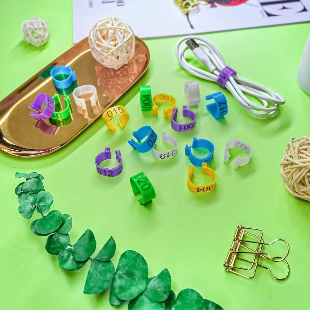 100 Stück Kunststoff Geflügel Beinmarken Gemischte Farbe Vogelbein Kennringe Geflügelzubehör