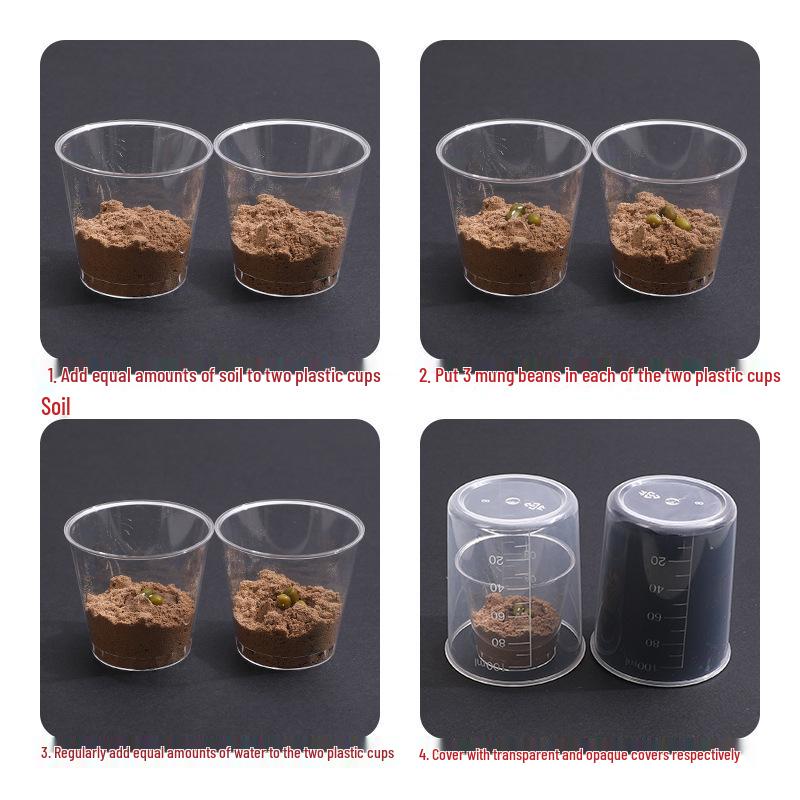 5th Grade Semester 2 Science Experiment Kit: Seed Germination Edition