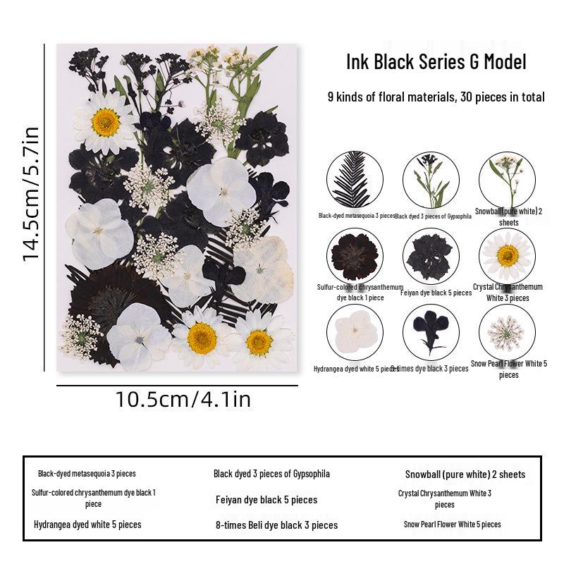 DIY Dried Flower Specimen Sticker Set for Kids: Handmade Pressed Flower Frames & Resin Bookmark Craft Kit