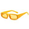Trendy Y2K Small Sunglasses Colorful Fashion Leopard Shades Retro UV400 Sun Glasses for Women & Men