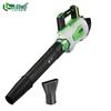 Lichen 48V Lithium-Ion Backpack Blower CN Plug (adapter Included)