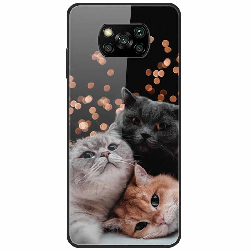 Etui na Poco X3 Pro Modne Urocze Szkło Hartowane Luksusowe Pokrowce Coque dla Xiaomi Poco X3 NFC Etui PocoX3 X 3 Zderzak Ochronny