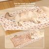 Winter Pet Thickened Blanket, Coral Fleece Dog Sleeping Pad, Comfortable and Warm Pad, Small and Medium-sized Pet Quilt