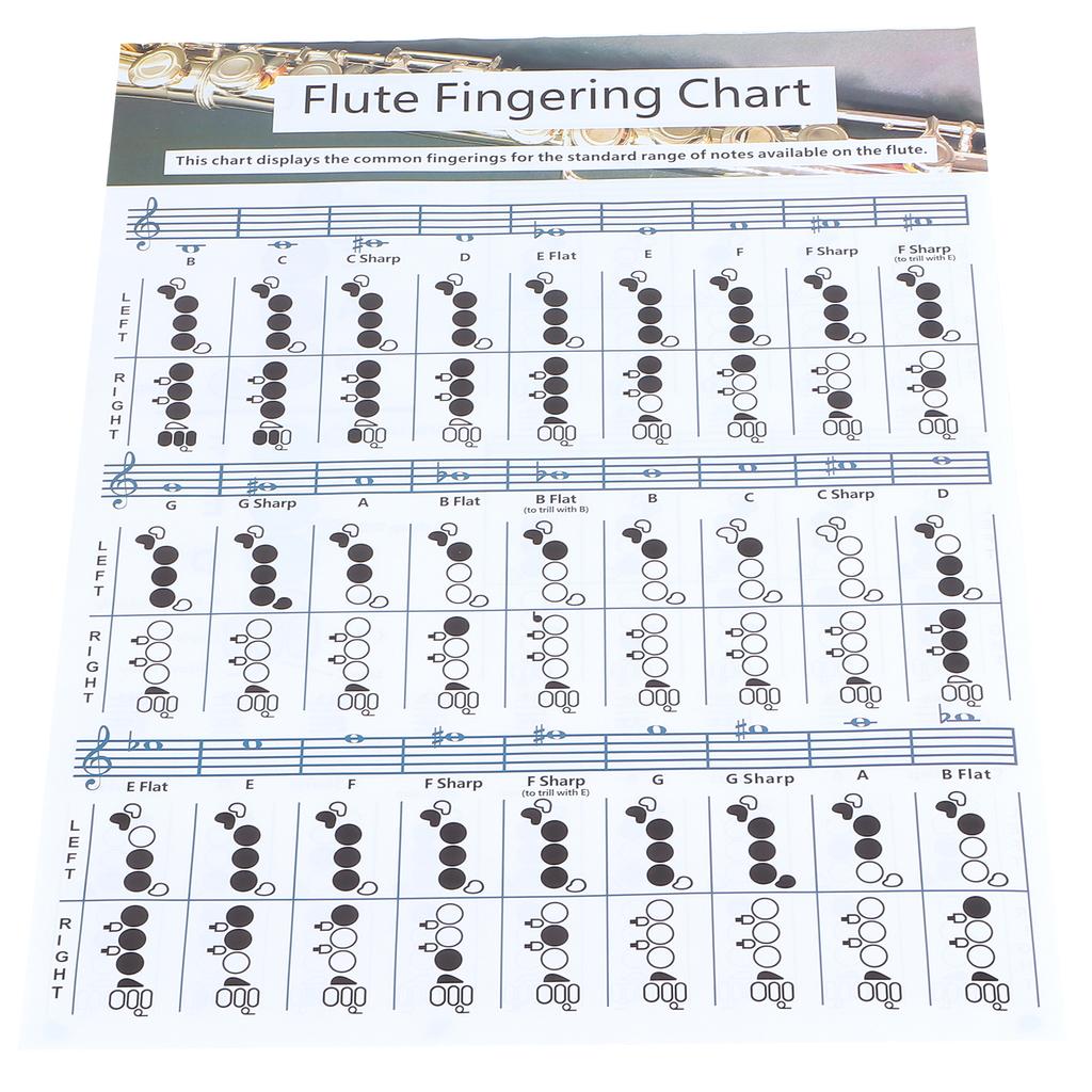 Flute Fingering Chord Chart Beginner Student Practice Teaching Aids Instrument