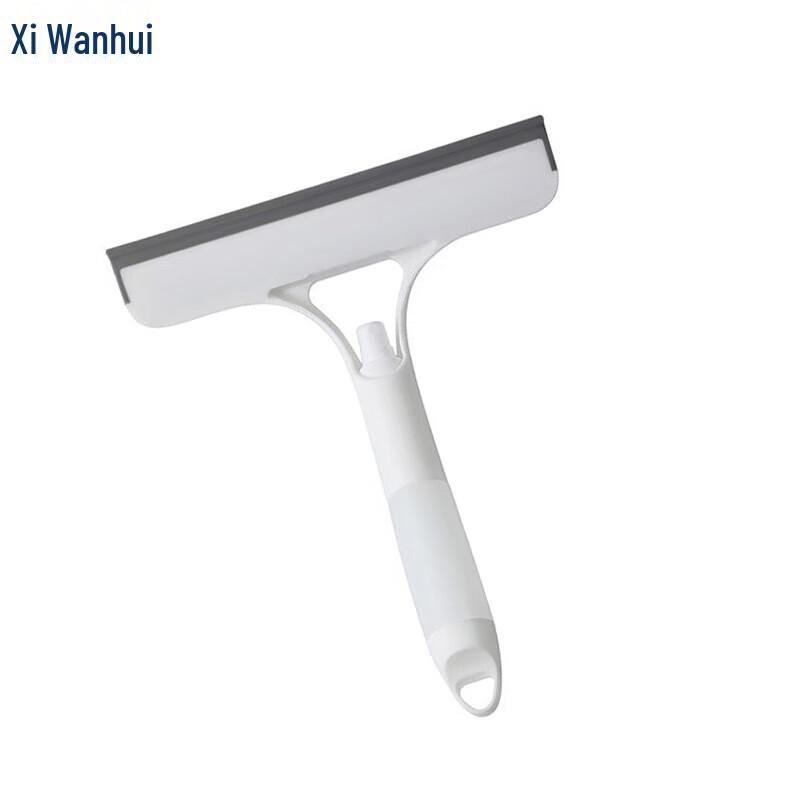 Handheld Mini Mop and Squeegee