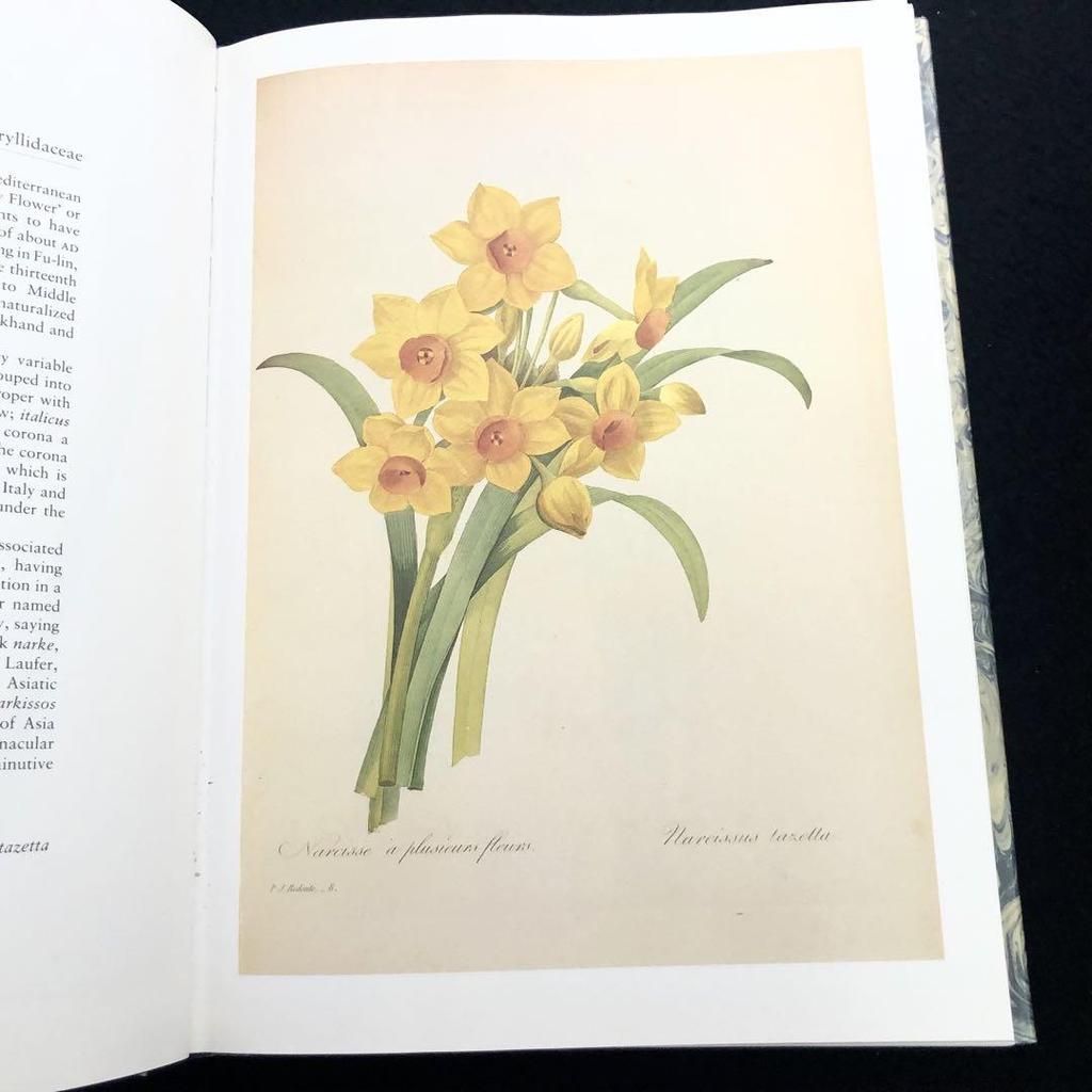 [USED] Pierre-Joseph Ledoute Art Collection "Fairest Flowers" 1987