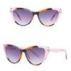 Cat's Eye Large Frame Decorative Glasses Frame Women's Computer Glasses
