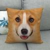 Cute Dog Face Cushion Cover Husky Corgi Pug 2D Flat Print Peach Skin Throw Pillow Case For Sofa Home Decor Pet Lover Gift 45X45