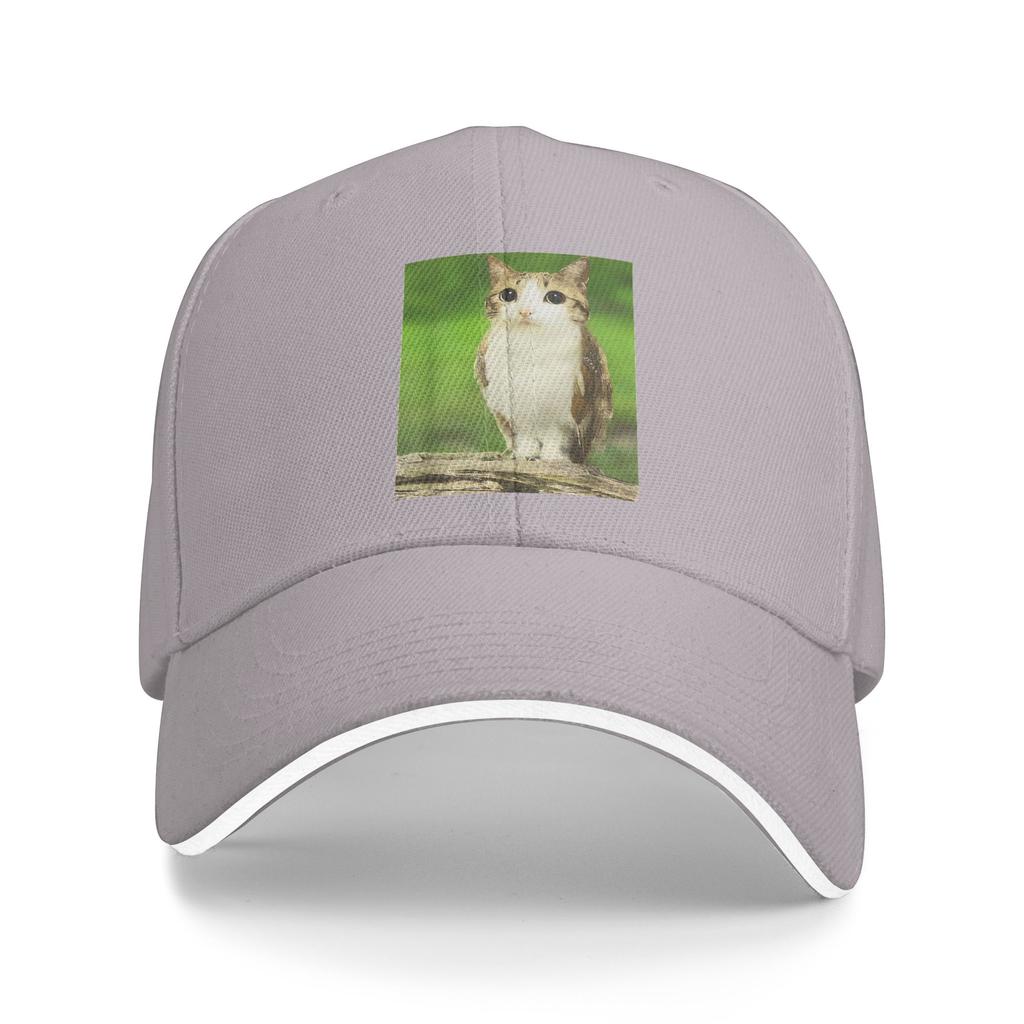 Spring Casual Baseball Cap Meowl Cat Owl Meme Funny Animal Hybrid Running Hippie Trucker Hat For Couple Trendy Baseball Caps