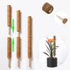3PCS Plant Climbing Vine Coconut Palm Stick