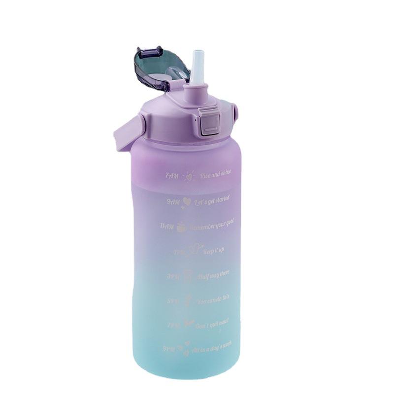 Two-Piece Gradient Plastic Water Cup with Straw - Large Capacity Space Cup