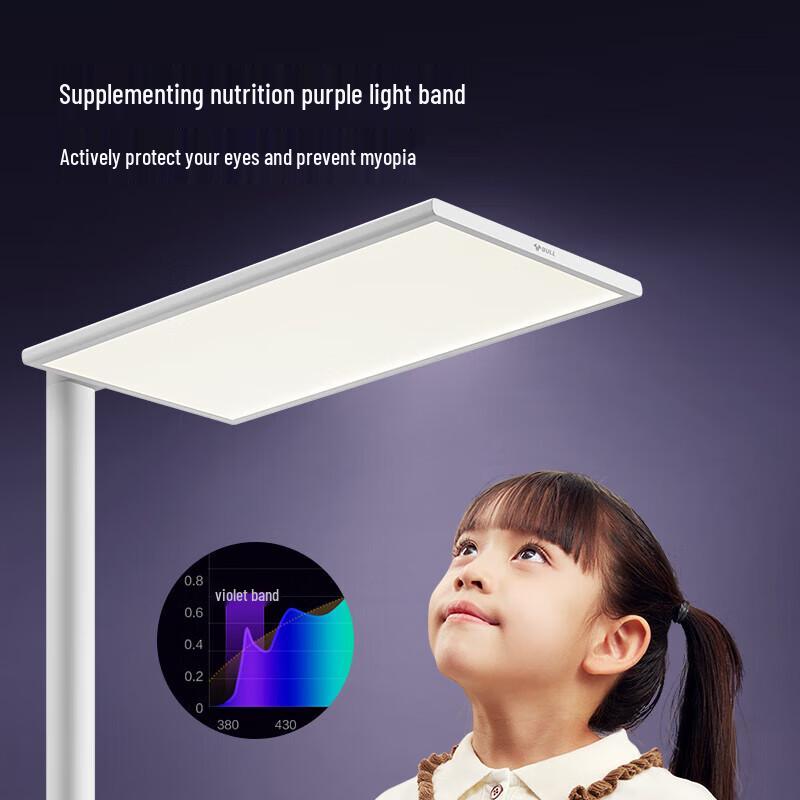 BULL Promax Smart Full-Spectrum Eye-Protection Floor Lamp
