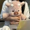 Plush Highland Cattle Toy Kids Gift With Polyester Fiber Stuffing For Childrens Comfort
