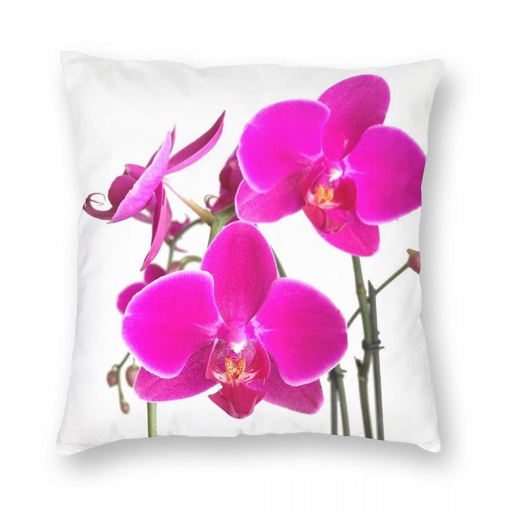 Orchid Flower Square Pillowcase Polyester Linen Velvet Creative Zip Decorative Throw Pillow Case Home Cushion Cover X