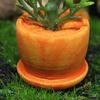 3 sztuk / zestaw Fałszywe Bonsai Krajobraz Fuax Dekoracyjne Delikatne Ładnie wyglądające Mikro Soczyste Wystrój Domu