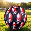 Personalized Size 5 Football France national football team Pattern Outdoor Game Sports Ball Gift