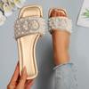 [Foreign Trade] Celebrity niche fairy thick heel cool slippers female summer wear fashion out flat bottom one-word drag