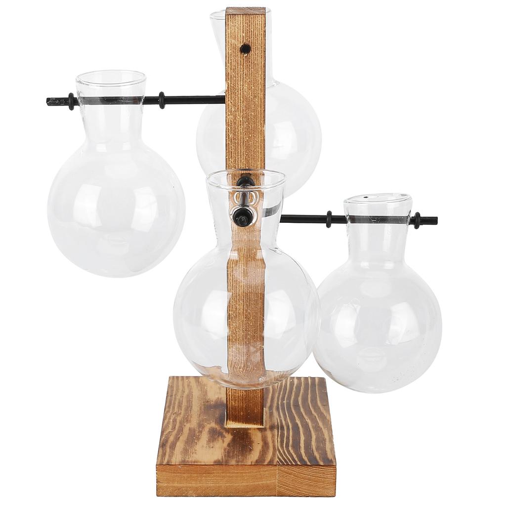 Innovative Hydroponic Vase with Wooden Stand Transparent Desktop Flower Vase for Home