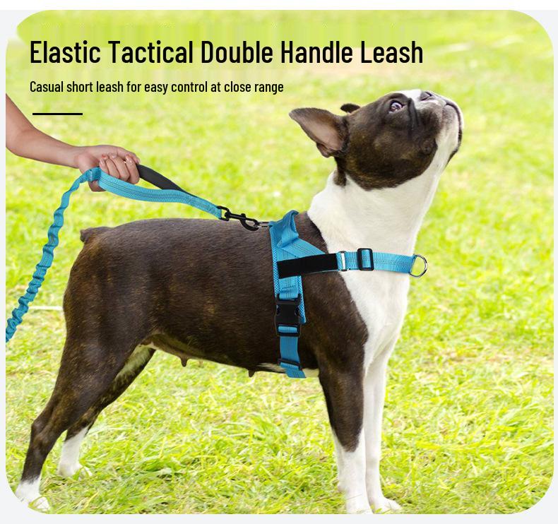 Traction P-Chain Dog Leash for Medium & Large Dogs - No-Strangle Handle, Corgi Pet Tactical Chain Leash