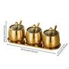 Stainless Steel Seasoning Container Set with Tray DustResistant ThreeCompartment Condiment Holder