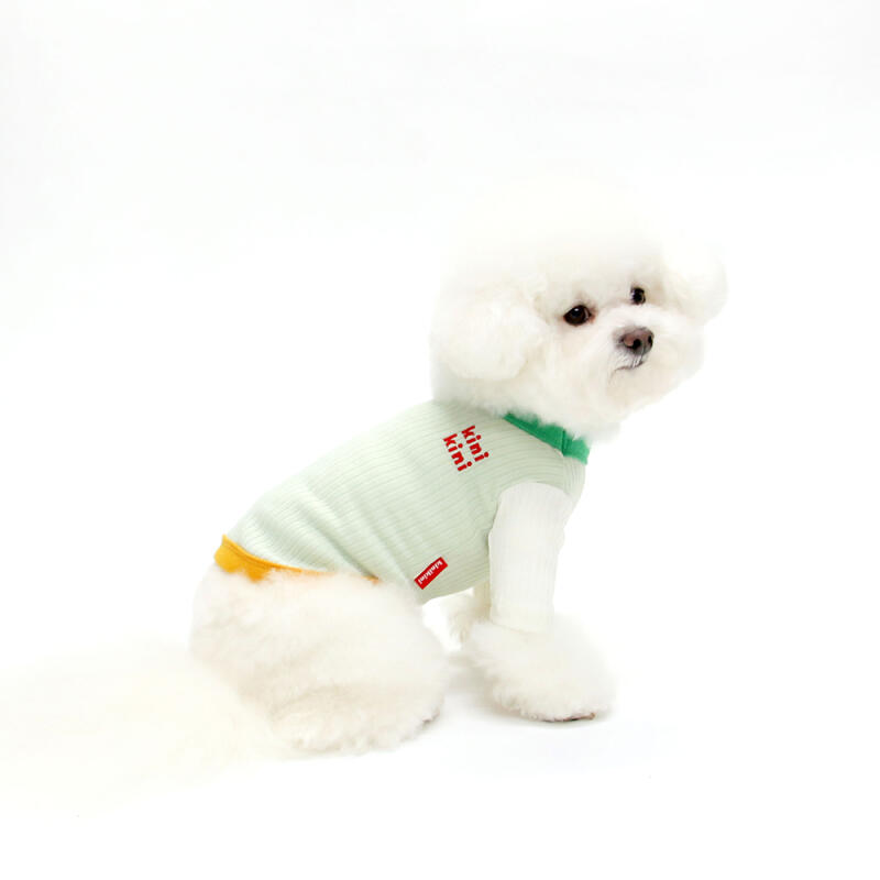 COTTON CANDY TSHIRT-GREEN(Short Sleeve T-Shirt)